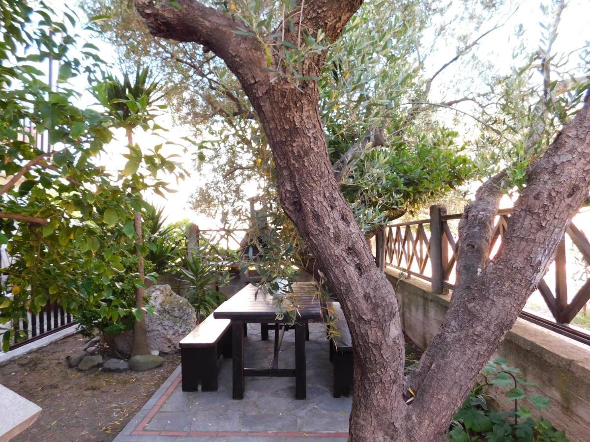 Dionysus-Mihanicus Ierissos Extérieur photo
