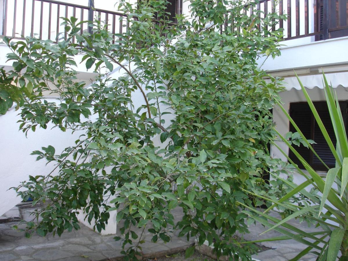 Dionysus-Mihanicus Ierissos Extérieur photo